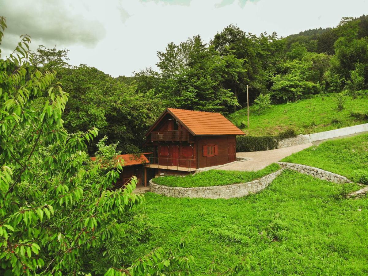 Lazec Country House Villa Pluznje Exterior photo